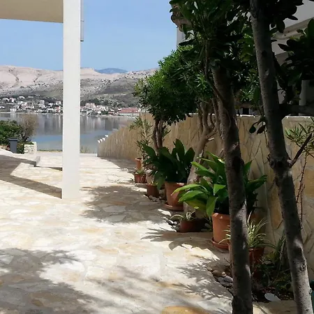 Ena פג
